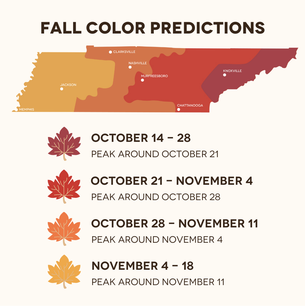 Screenshot 2025-10-08 at 6.49.06 AM